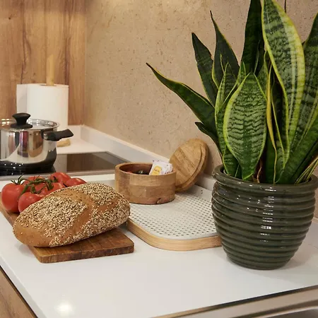 Loft 9b Jaime Ii Walencja