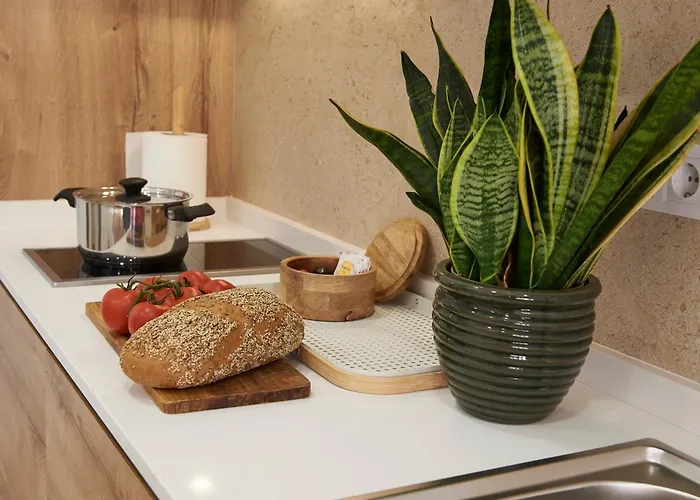 Loft 9b Jaime Ii Valenza